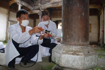 白蟻防治案例